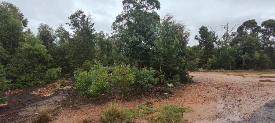 0 Bedroom Property for Sale in Greenbushes Eastern Cape